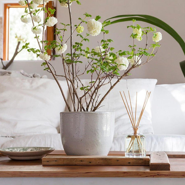 CASTELBEL-Verbena Room Diffuser